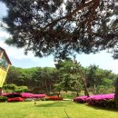 아트포엠기숙학원 이미지