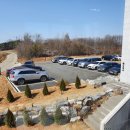 도대리카페 이미지