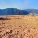 재산면사무소 이미지