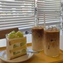 (주)티젤바이오 이미지