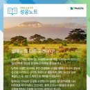 서울교대 사거리 이미지