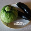 초현펜션 이미지