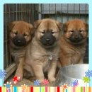 김영진농장 이미지