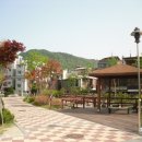 중랑숲리가 이미지