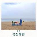 세븐일레븐 강릉금진해변점 | 강릉 바다 수영 금진해변 물놀이 2025 강릉 해수욕장 개장