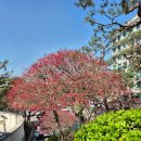 새순약국 이미지