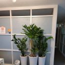 힐링네일 이미지