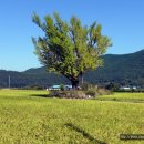 의령상회 이미지