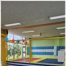 스타 태권도 이미지