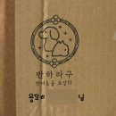 민화 속 반려동물 | [후기] '반하라구' 반려동물 민화 초상화 제작 후기