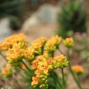 동심의 세계 이미지