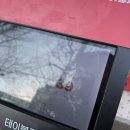 에그인형 놀기 | 부평 두바이쫀득쿠키 맛집 아롬베이크 내돈내산 테이블링 평일 웨이팅 후기! 두쫀쿠 최고