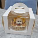 진만초등학교 | 광주 광산구 신가동 애견 수제간식 전문점 봉봉스밀