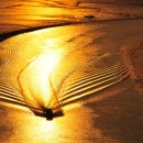 엘도라도 아마존 이미지