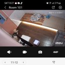 가평애견호텔 24시 입퇴실 가능 벨라몽 이용 후기