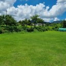 이어도공인중개사사무소 이미지