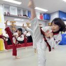 태권도 다움 이미지