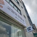 고양이 미용실 방울선생 이미지