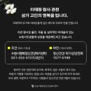 수원-0199 이미지