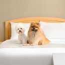 한화호텔앤드리조트(주)해운대 이미지