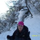 동안교 앞 이미지