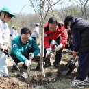 장동 어린이공원 이미지