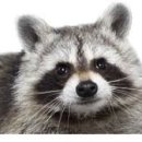 마마동물병원 이미지