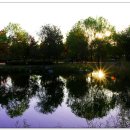 율하체육공원 생태연못 이미지