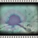 경기도 수원시 권선구 세지로 42-1 (세류동) | 수원 세류동, 변기 막힘 문제를 해결한 후기