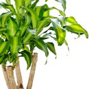 영전농장 이미지