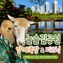 남동목장 | 인천 아이와 가볼만한 곳 추천 | 늘솔길공원 피크닉부터 양떼목장까지