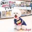 어서오시개 이미지