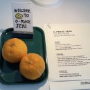 오피스제주 이미지