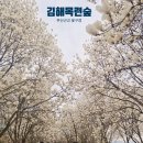 주-003-충혼탑입구2 | 부산근교 꽃구경 김해 목련숲 실시간 개화 주차 꿀팁 드라이브