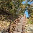 파파지붕펜션 이미지