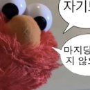 지당 이미지