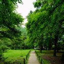 꿈틀꿈틀 이미지