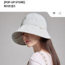 벨벳트렁크현대 이미지