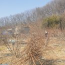보리수미용실 네이버블로그