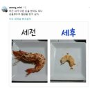 세전 세후 체감 짤 이미지