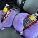 코스몰링크 | 세부 시티투어 코스 추천｜탑오브세부·시라오가든·아얄라몰 하루 일정 솔직후기