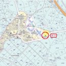 대선월드피아 이미지