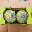 곡성-157 이미지