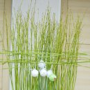 영남대학교 환경보건대학원 이미지