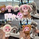 캐치박스 | 캐치티니핑 키링 신상 애니멀 시리즈 랜덤 박스 언박싱 후기 (우리 후추좀 보세요)