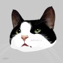 주식회사 게임오아시스 | 본격적으로 더워진 6월🌞