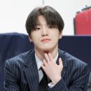 디노 이미지