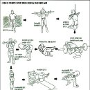 웨이트 트레이닝 이미지