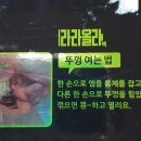 라라올라 이미지