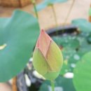 더존스터디학원 이미지